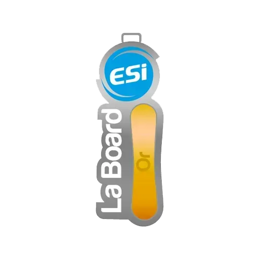 board-dor-esi